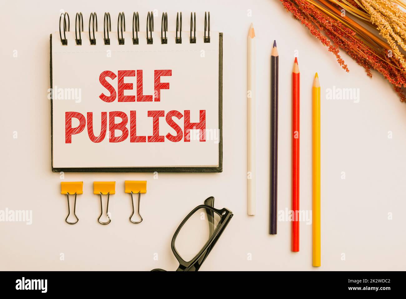 Texte montrant inspiration Auto-publication. Approche commerciale travail publié indépendamment et à ses frais Indie auteur flashy fournitures de bureau d'école, enseignement Collections d'apprentissage, Outils d'écriture Banque D'Images