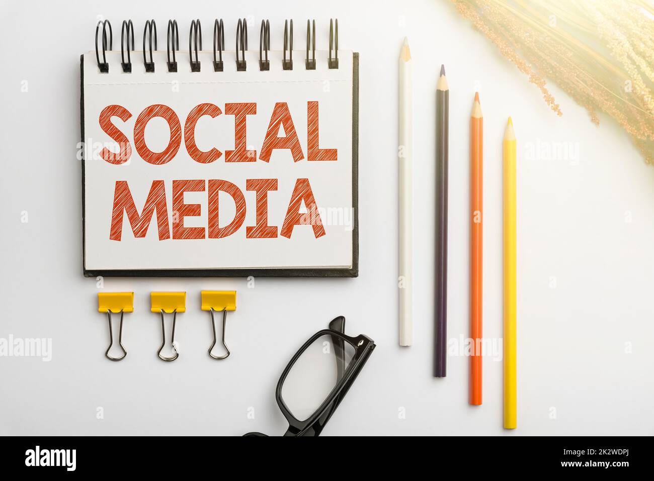 Signature manuscrite sur les médias sociaux. Aperçu des affaires canal de communication en ligne réseau microblogging flashy fournitures de bureau d'école, enseignement Collections d'apprentissage, Outils d'écriture Banque D'Images