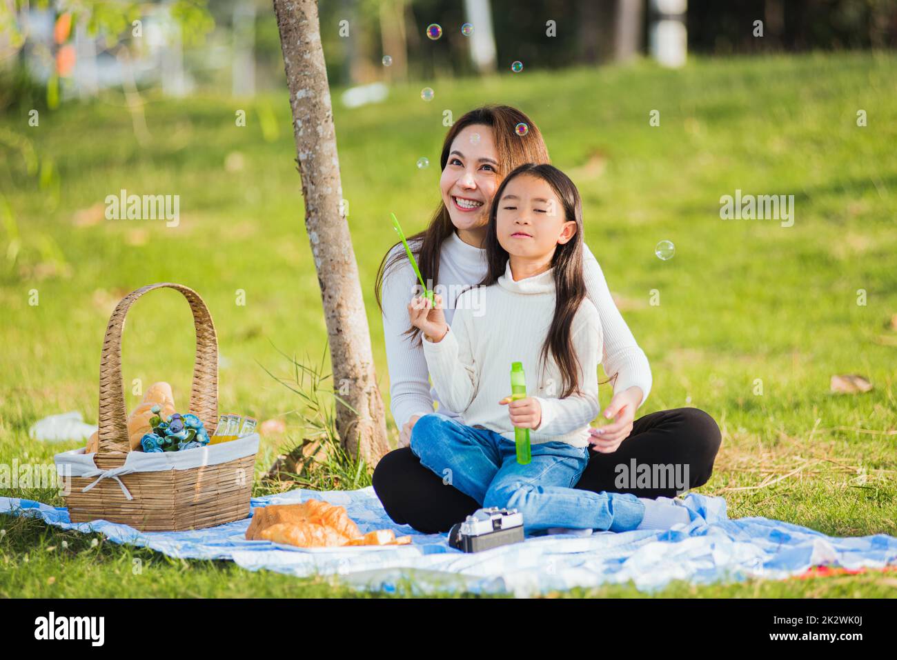 la mère et la fille ont du plaisir à souffler des bulles de savon pendant un pique-nique Banque D'Images