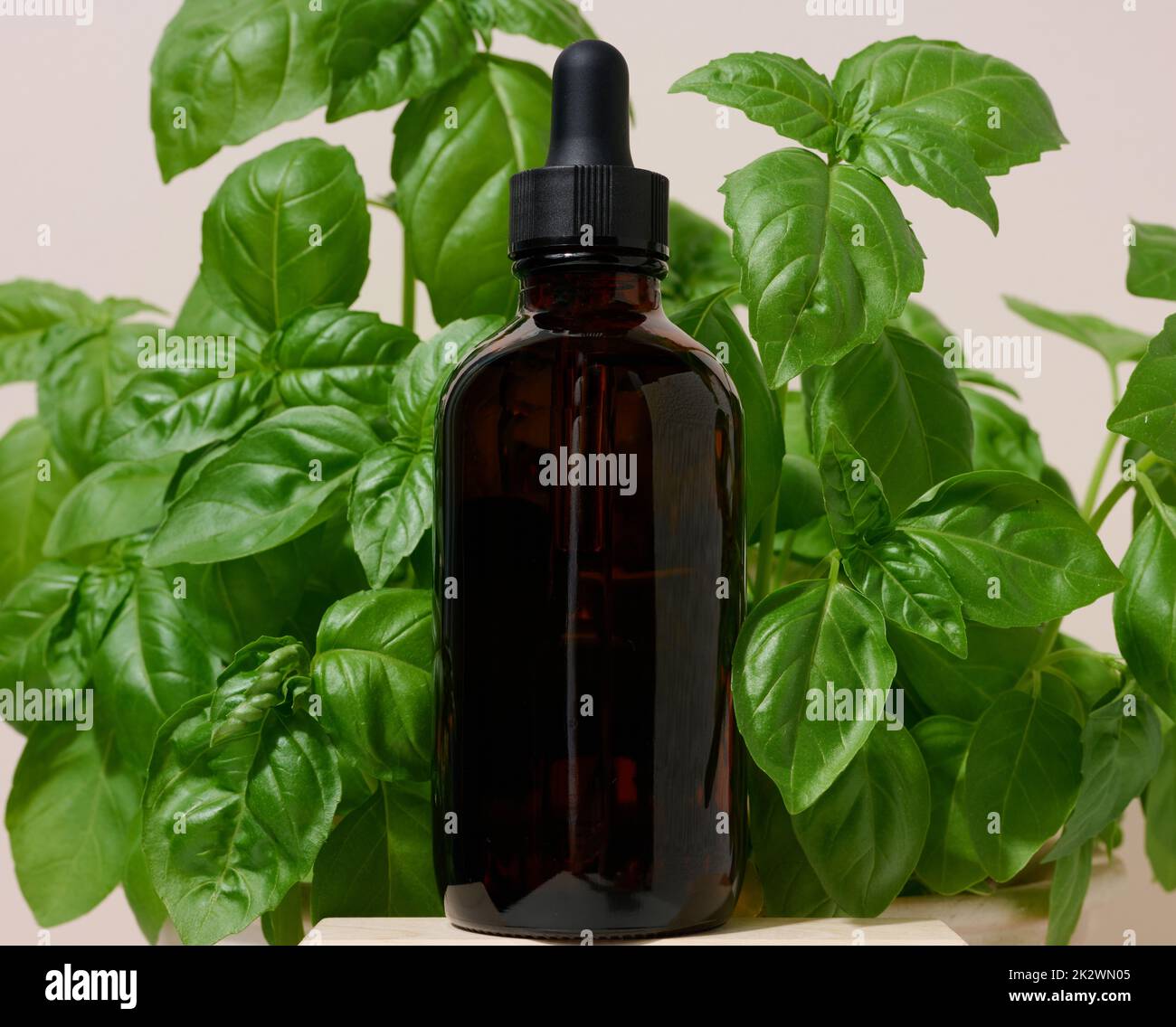 Faire dorer le flacon en verre avec une pipette sur fond de feuilles de basilic vertes Banque D'Images