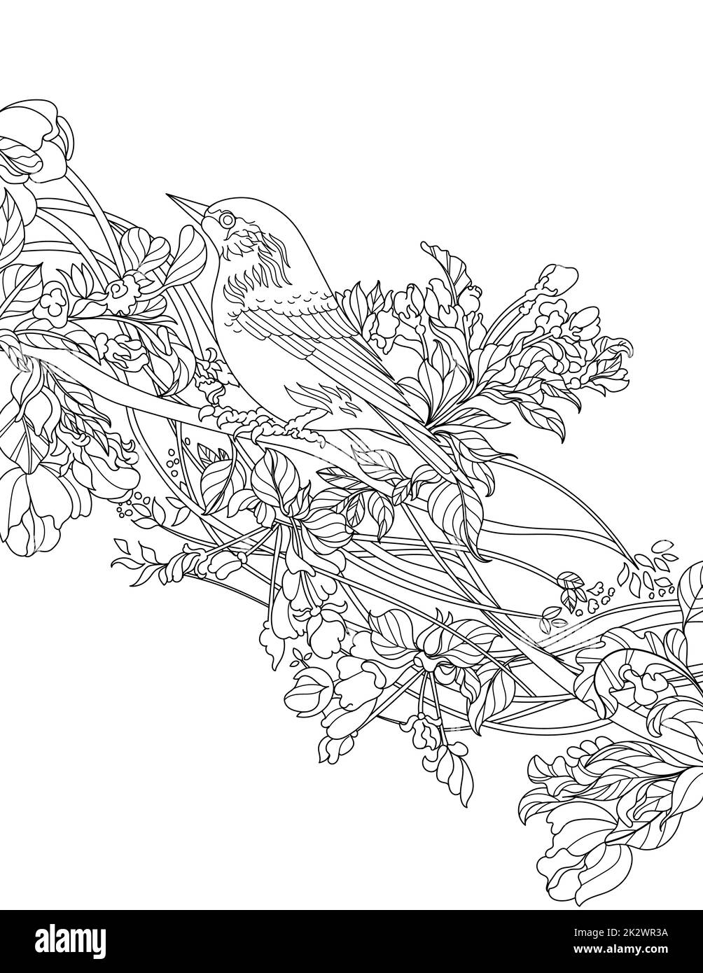 Oiseau debout sur l'arbre ligne de dessin coloriage Livre idée Banque D'Images Oiseau debout sur l'arbre ligne de dessin coloriage Livre idée Banque D'Images