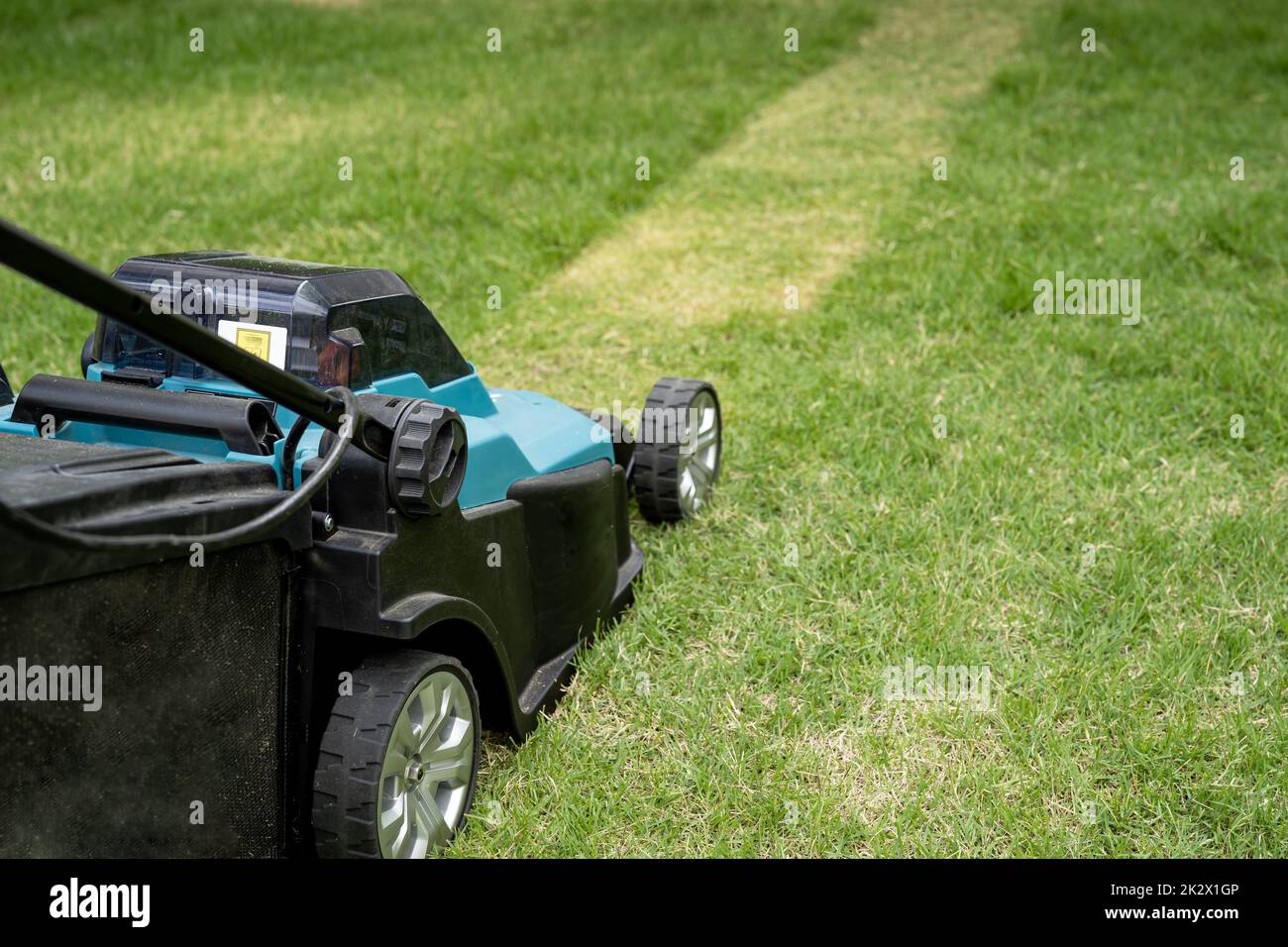 Machine de déplacement de pelouse couper l'herbe verte, Hobby planter le jardin de la maison. Banque D'Images