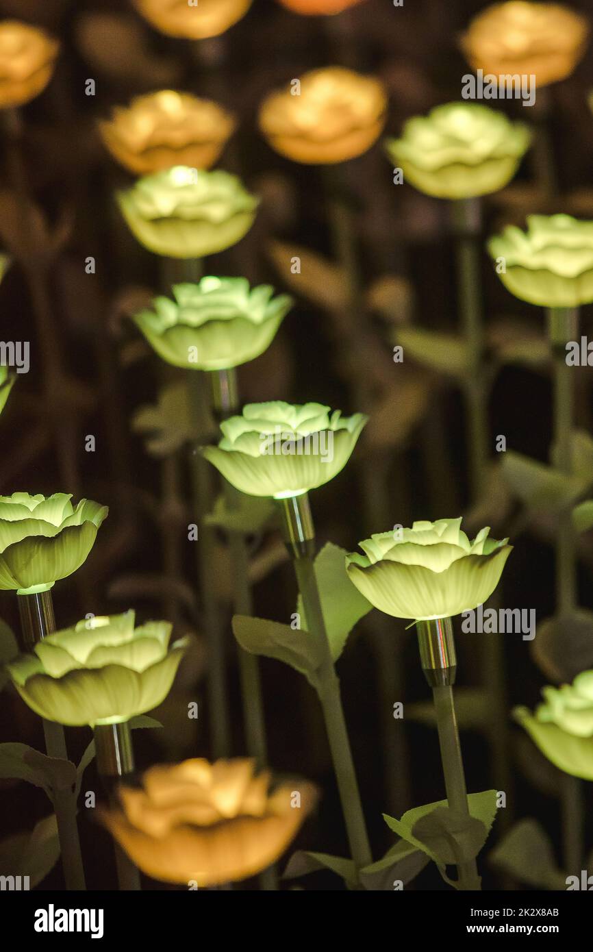 Les lumières sont décorées comme des fleurs pour créer une belle lumière la nuit au festival. Banque D'Images