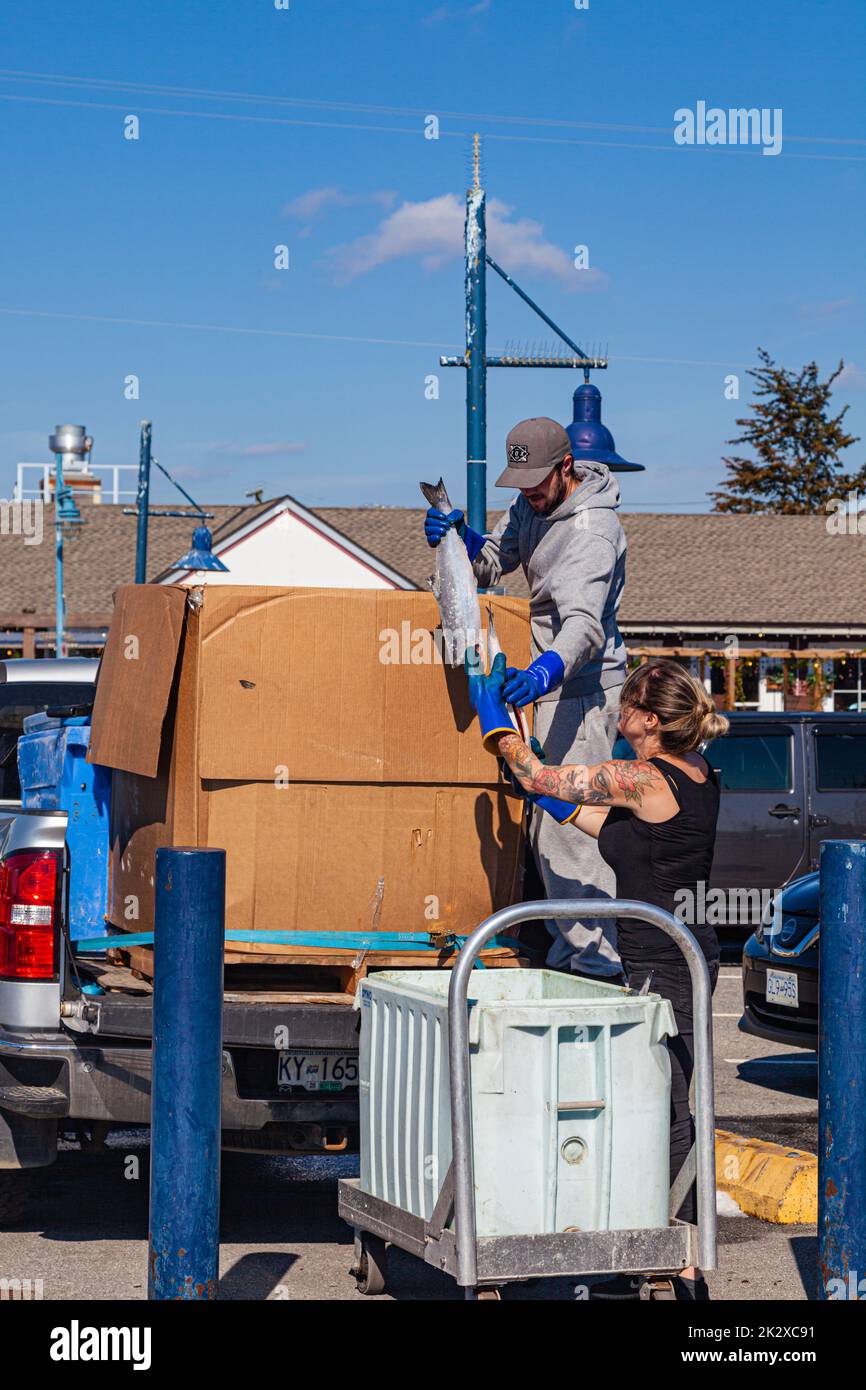 Homme et femme qui transfèrent du saumon congelé au marché flottant du quai de Fihermans à Steveston Colombie-Britannique Canada Banque D'Images