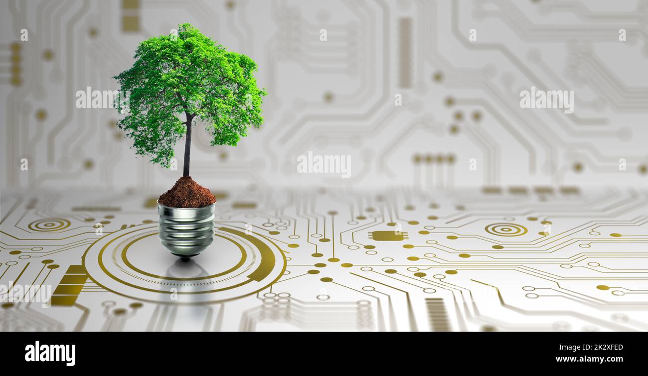 Green Computing, Green Technology, GREEN IT, csr et concept d'éthique INFORMATIQUE. Banque D'Images