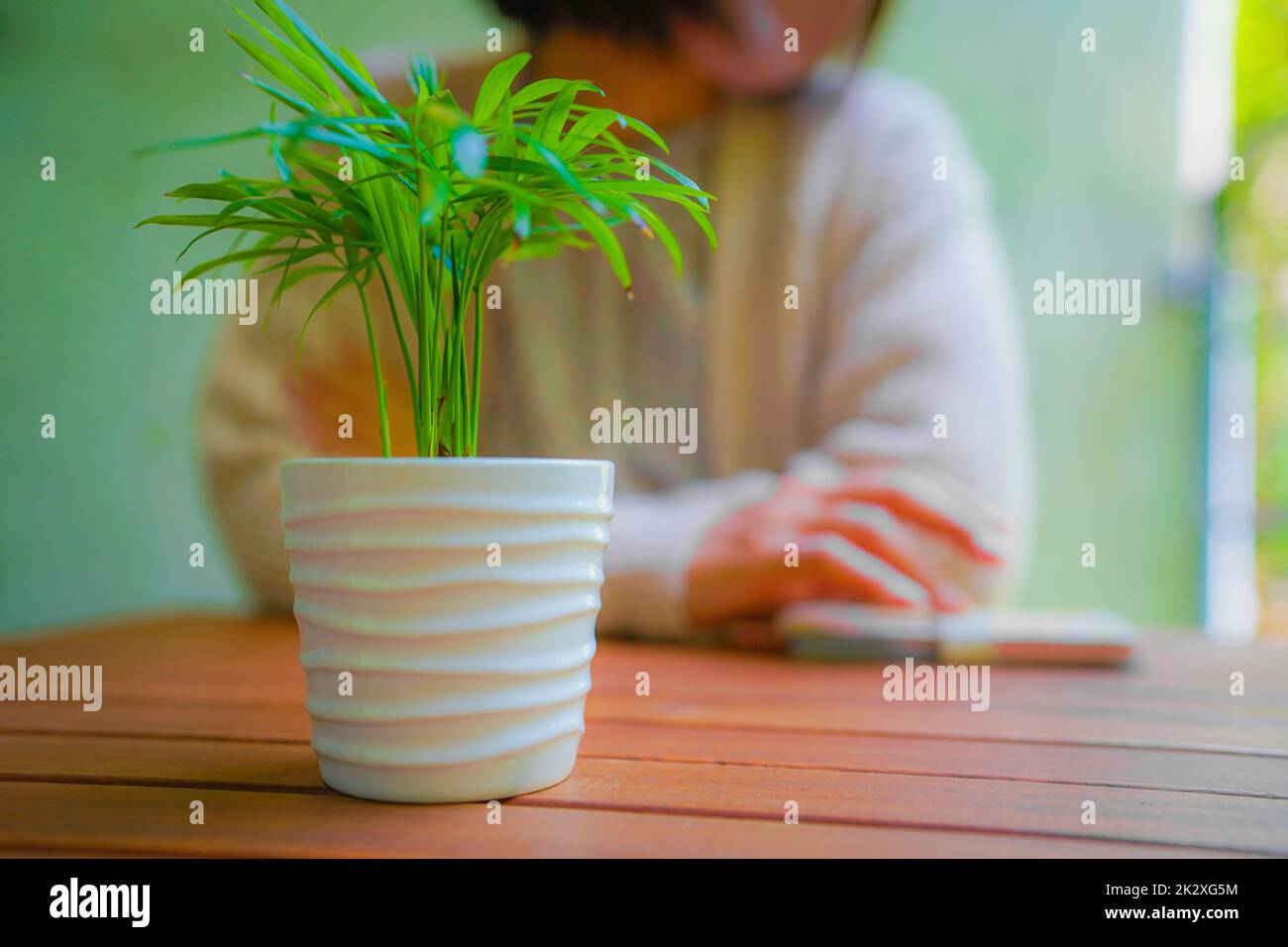 Les femmes ont croisé des plantes feuillages et des bras Banque D'Images