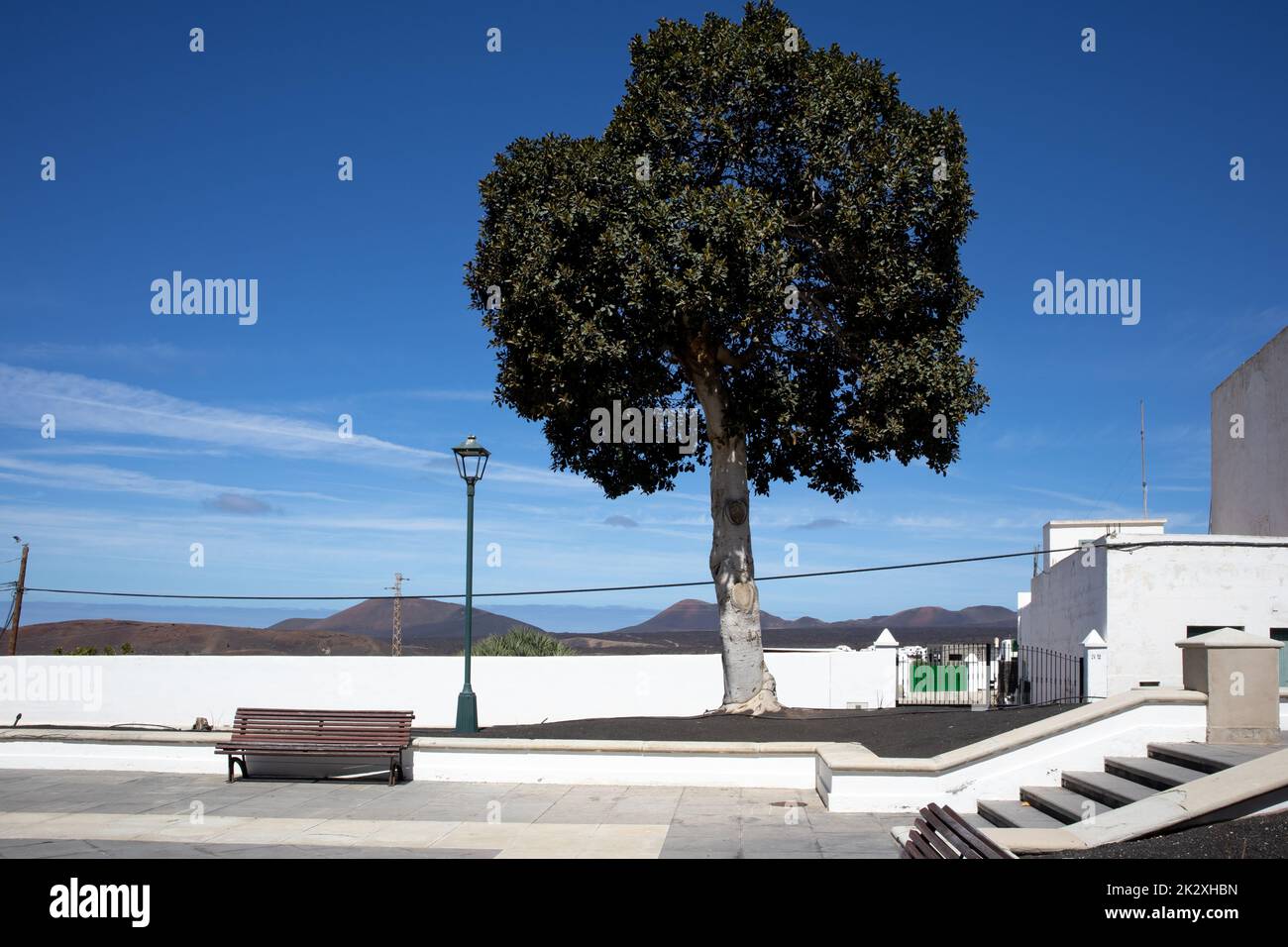 Place moderne en face d'une église. Placer avec un banc et une lampe de rue. Grand arbre de ficus et escaliers vers la place. Ciel bleu avec sentiers et nuage clair Banque D'Images