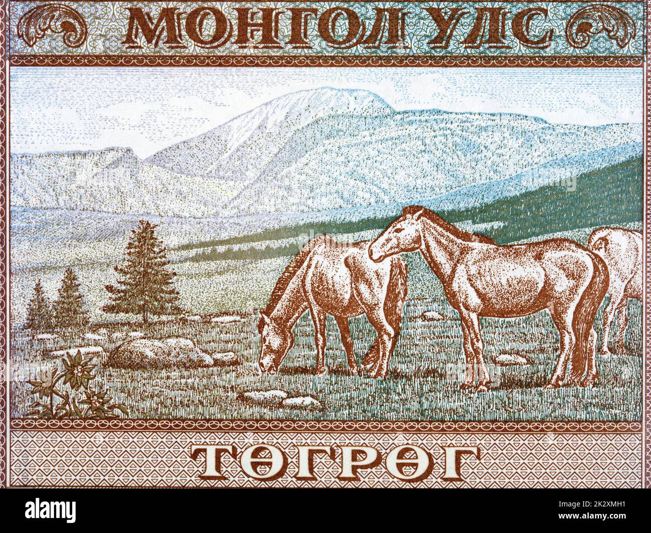 Paysage montagneux et chevaux mangeant de l'herbe à partir de l'argent Banque D'Images