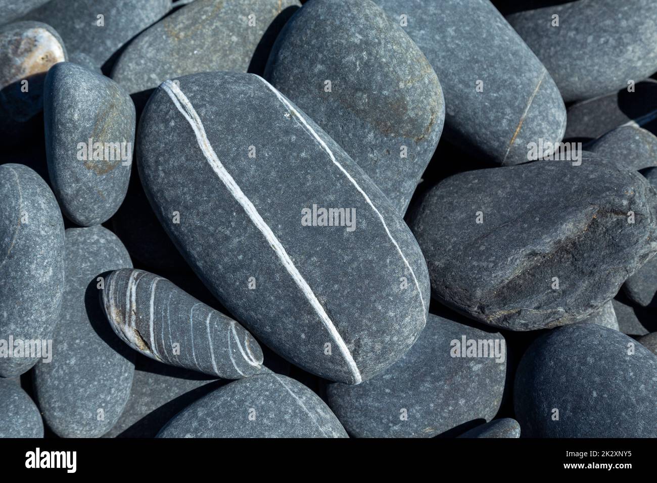 Détail rochers de plage Banque D'Images