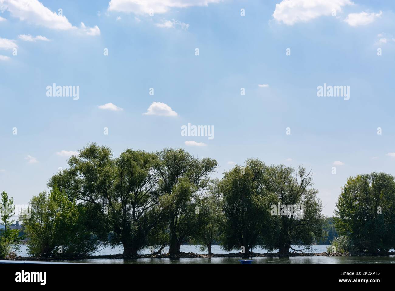 Ferry du Rhin à Ingelheim en Allemagne Banque D'Images