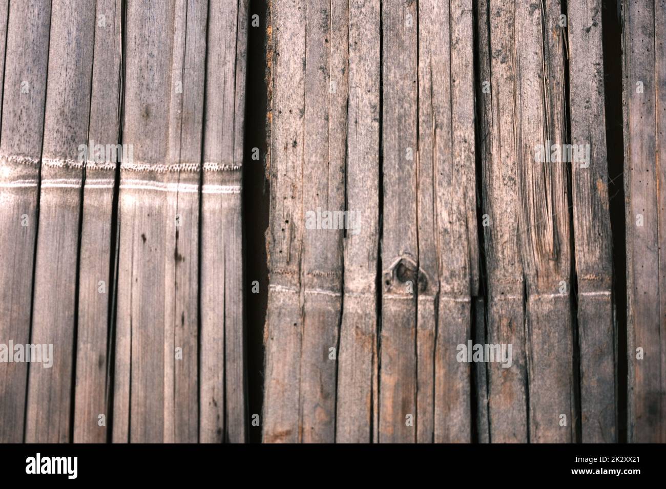 Vieux bambou texture bois naturel motifs bruns. Banque D'Images