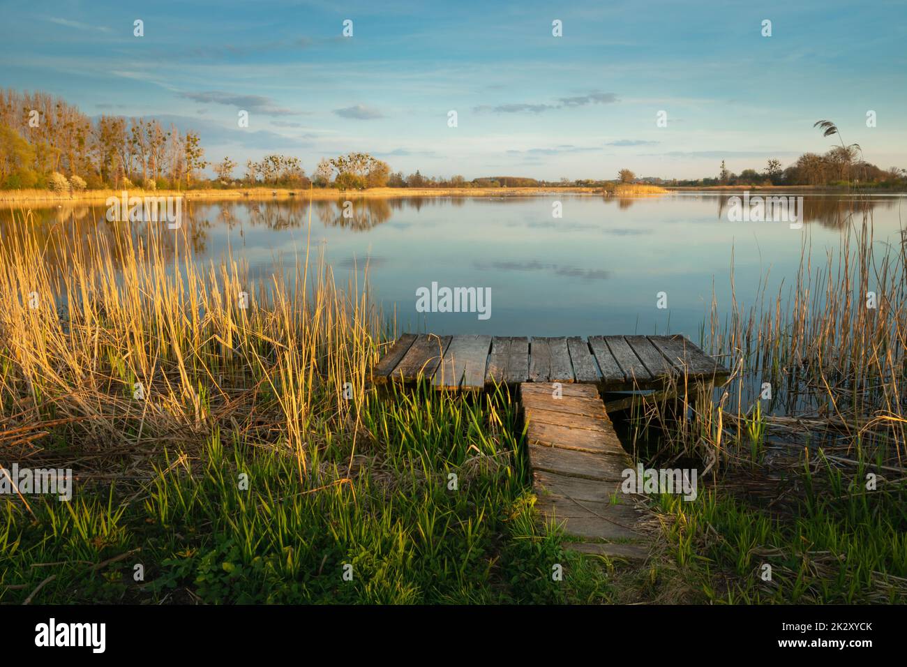 Plate-forme de pêche en bois dans les roseaux du lac Banque D'Images