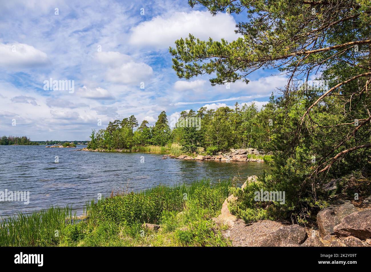 Paysage avec rochers et arbres près de Figeholm en Suède Banque D'Images