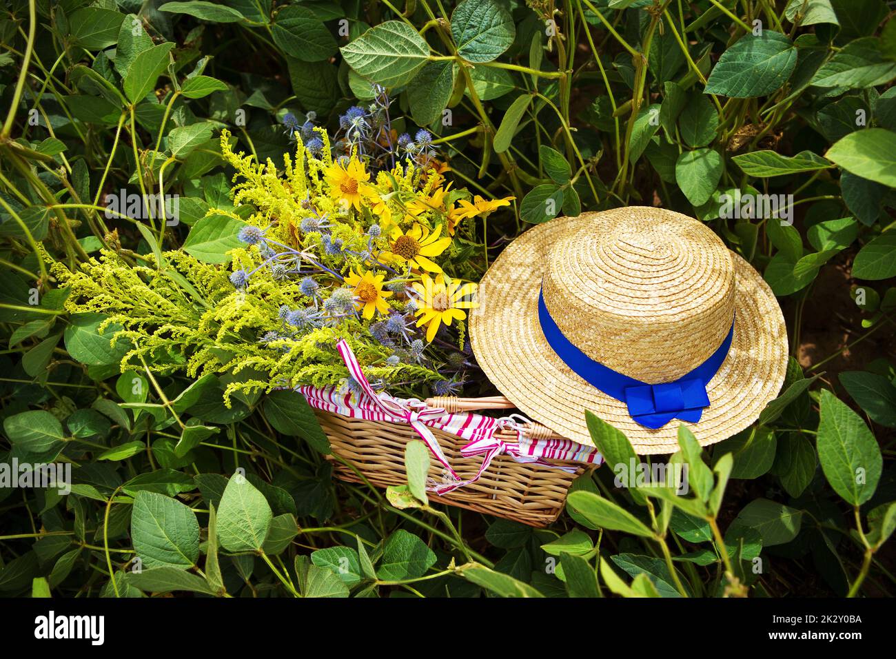 chapeau de paille et panier avec fleurs se tiennent sur l'herbe Banque D'Images