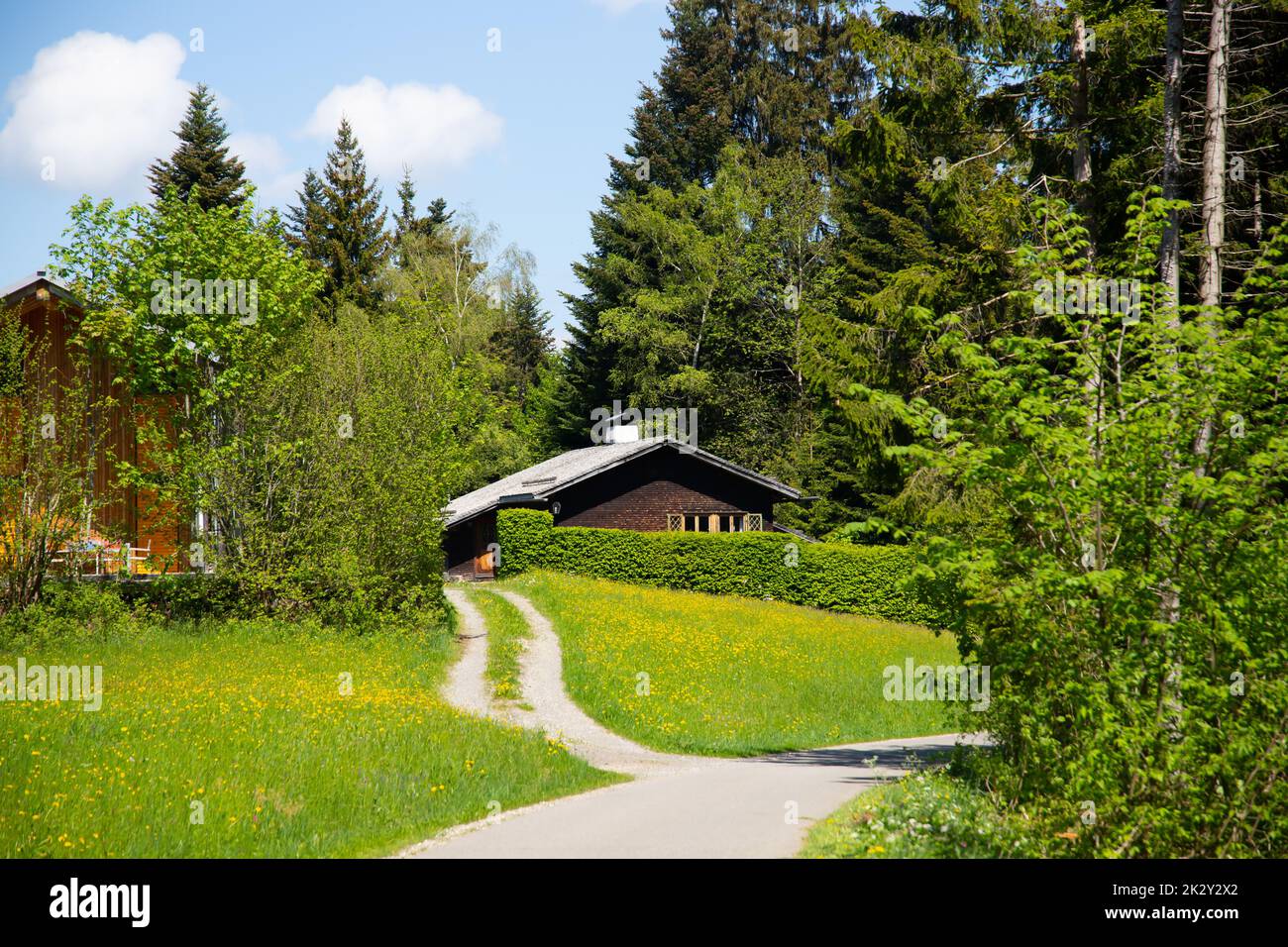 Petit cottage en bois dans la forêt Banque D'Images