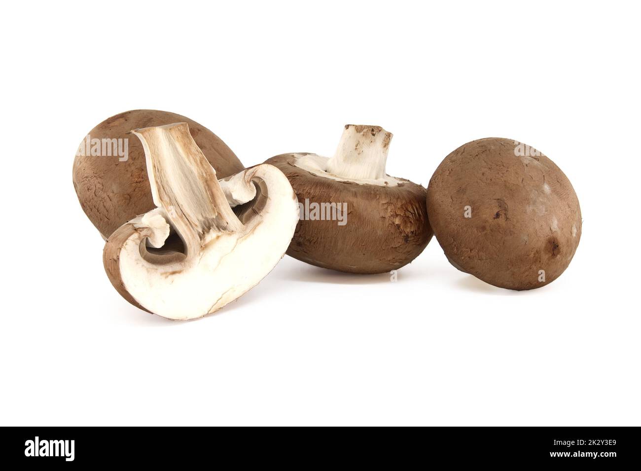 Champignons entiers frais (Baby Bella) Banque D'Images