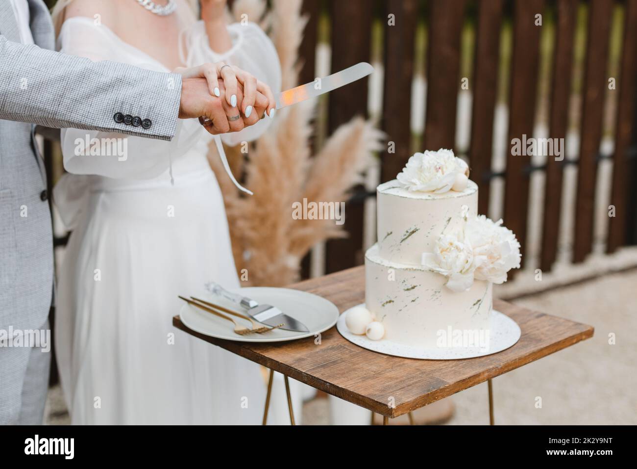 Mariage à l'extérieur, mariage avec mariage, coupe de gâteau de mariage élégant et marié. Mariage couple tenant couteau et coupant ensemble gâteau de mariage décoré avec flux Banque D'Images