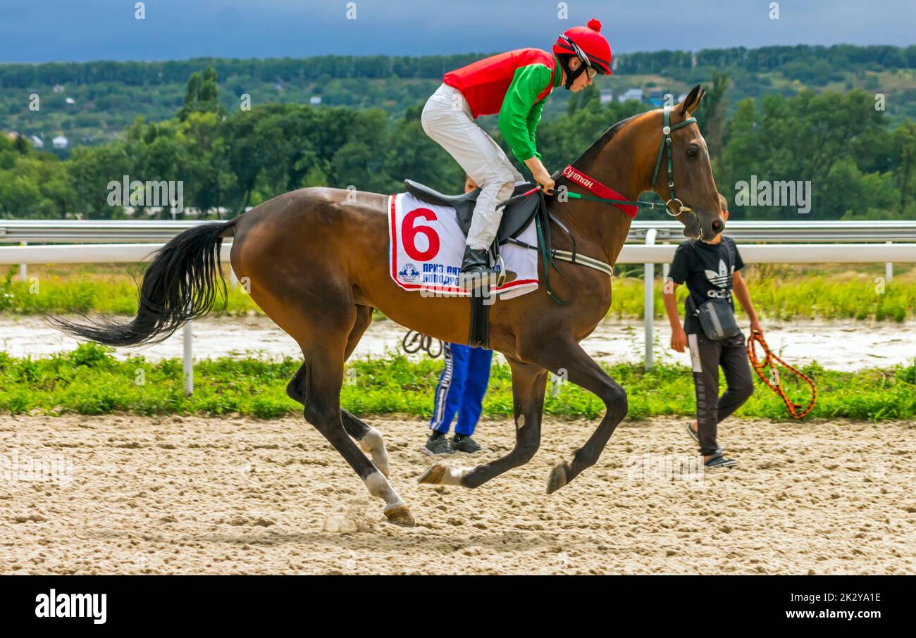 Terminez la course à cheval pour le prix du Grand été sur l'hippodrome de Pyatigorsk, dans le nord du Caucase. Banque D'Images
