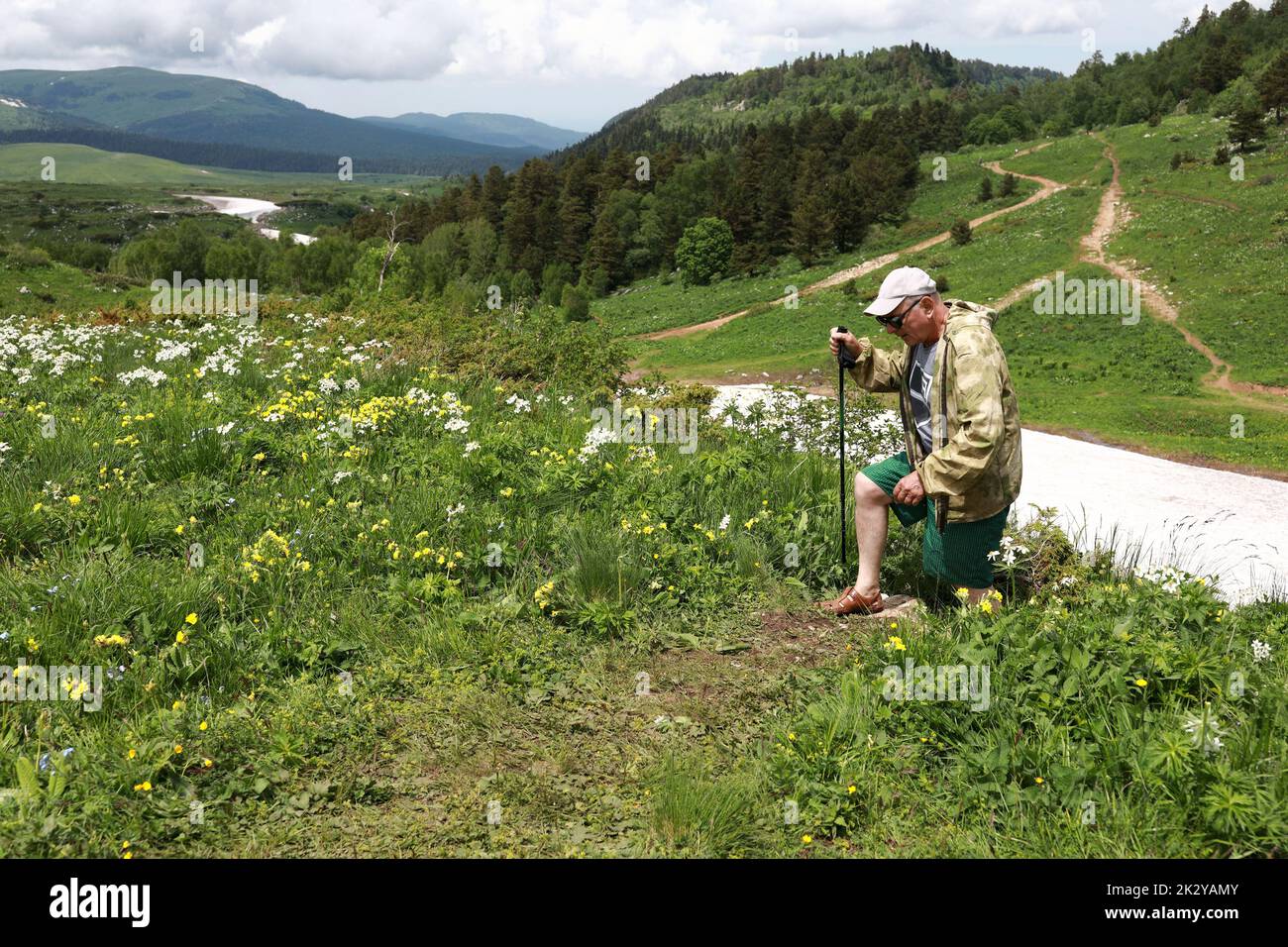 Homme senior trekking à travers la prairie alpine du plateau Lago-Naki, Adygea Banque D'Images