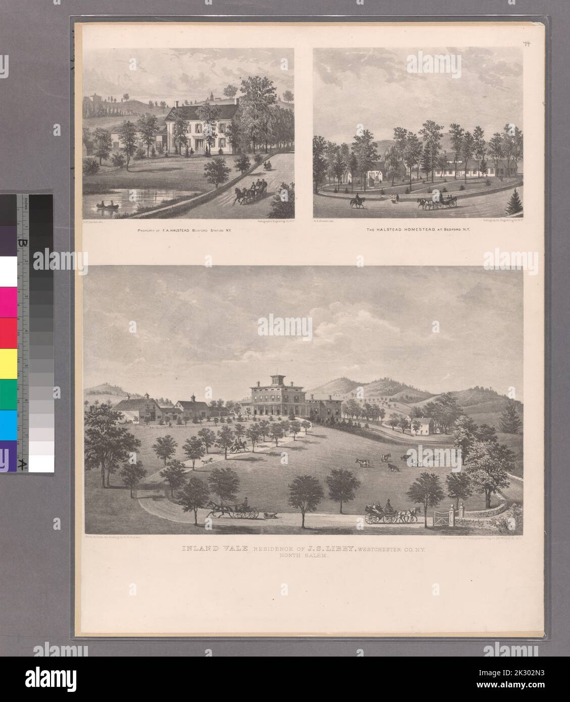 Cartographie, cartes. 1868. Lionel Pincus et Princess Firyal Map Division. Propriété immobilière , région métropolitaine de New York, Comté de Westchester (N.Y.), région métropolitaine de New York propriété de F.A. Halstead, Bedford Station, N.Y. - The Halstead Homestead at Bedford, N.Y.- Inland Vale, Résidence de J.S. Libby, Westchester Co., N. Y. North Salem. Petite chemise - S2 Banque D'Images
