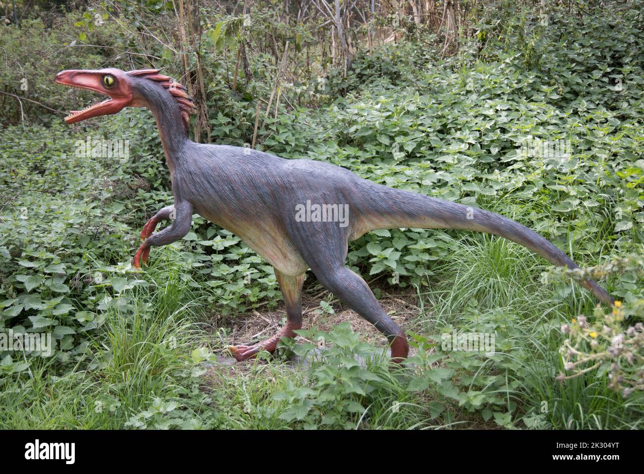 Modèle LifeSize de Trrodon un dinosaure théropode de type oiseau du Crétaceious tardif, All Things Wild, Honeybourne, Royaume-Uni Banque D'Images