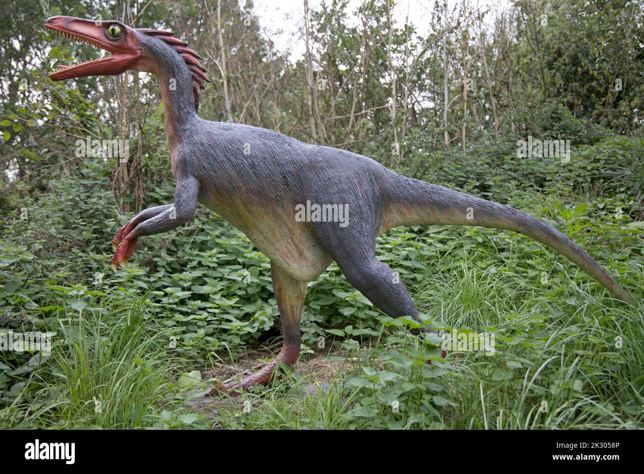 Modèle LifeSize de Trrodon un dinosaure théropode de type oiseau du Crétaceious tardif, All Things Wild, Honeybourne, Royaume-Uni Banque D'Images