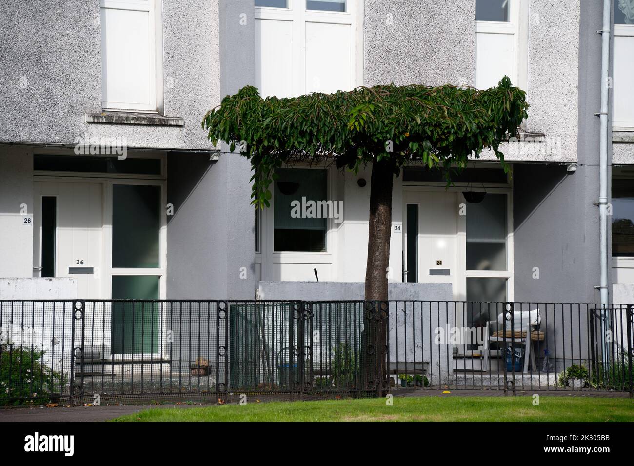 Les appartements du conseil dans des logements pauvres avec de nombreuses questions de protection sociale à Glasgow Banque D'Images