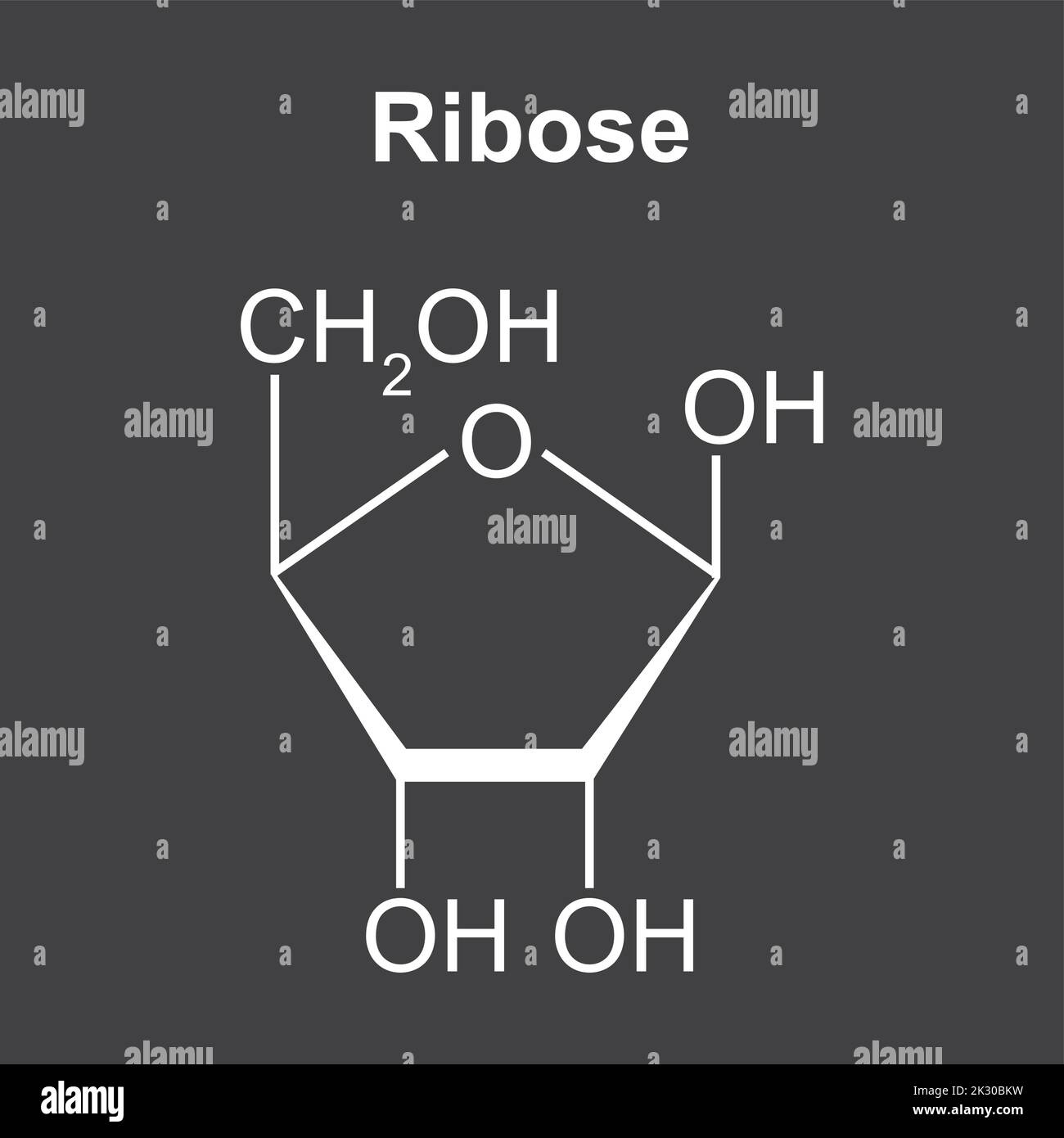 Structure chimique de la molécule de sucre de Ribose. Illustration vectorielle. Illustration de Vecteur