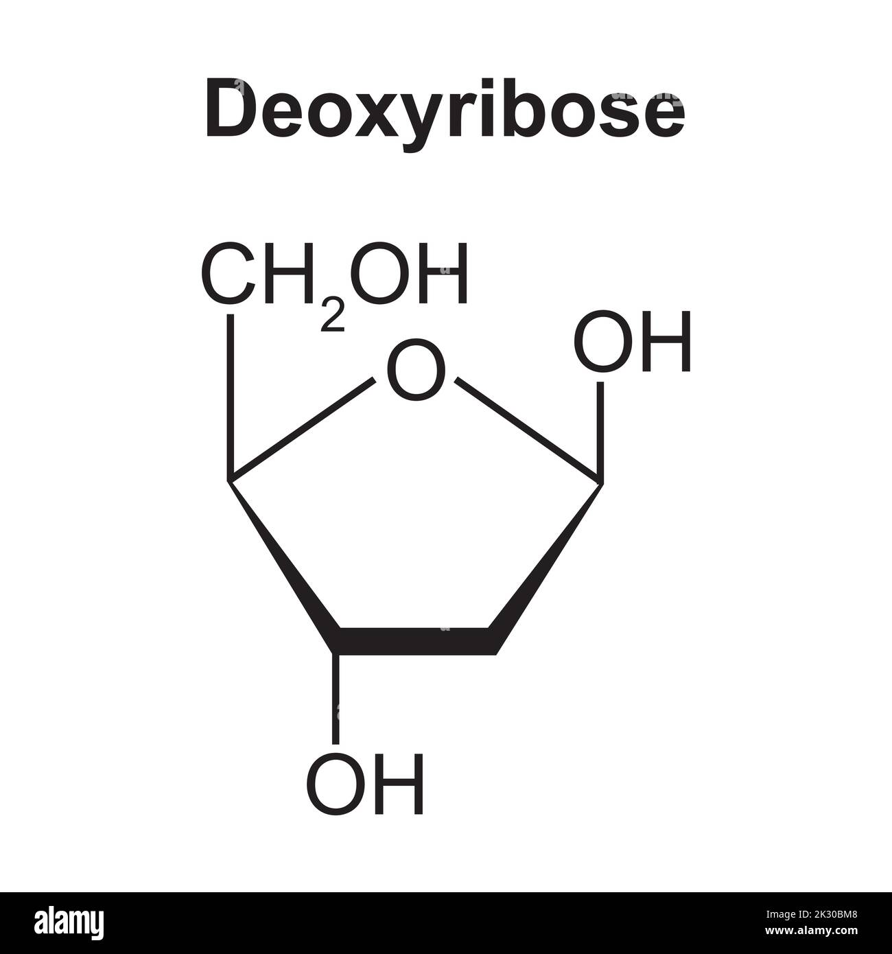 Structure chimique de la molécule de sucre désoxyribose. Illustration vectorielle. Illustration de Vecteur