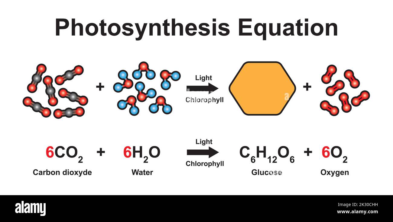 Conception scientifique de l'équation de photosynthèse. Utilisation du modèle moléculaire des atomes. Symboles colorés. Illustration vectorielle. Illustration de Vecteur