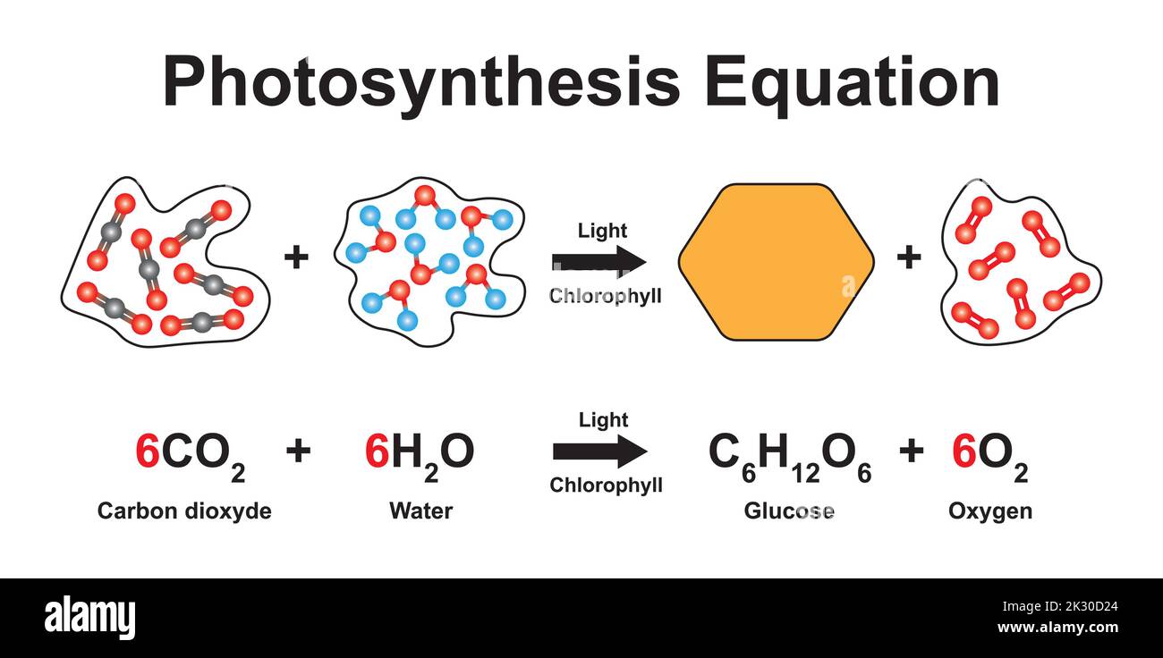 Conception scientifique de l'équation de photosynthèse. Utilisation du modèle moléculaire des atomes. Symboles colorés. Illustration vectorielle. Illustration de Vecteur