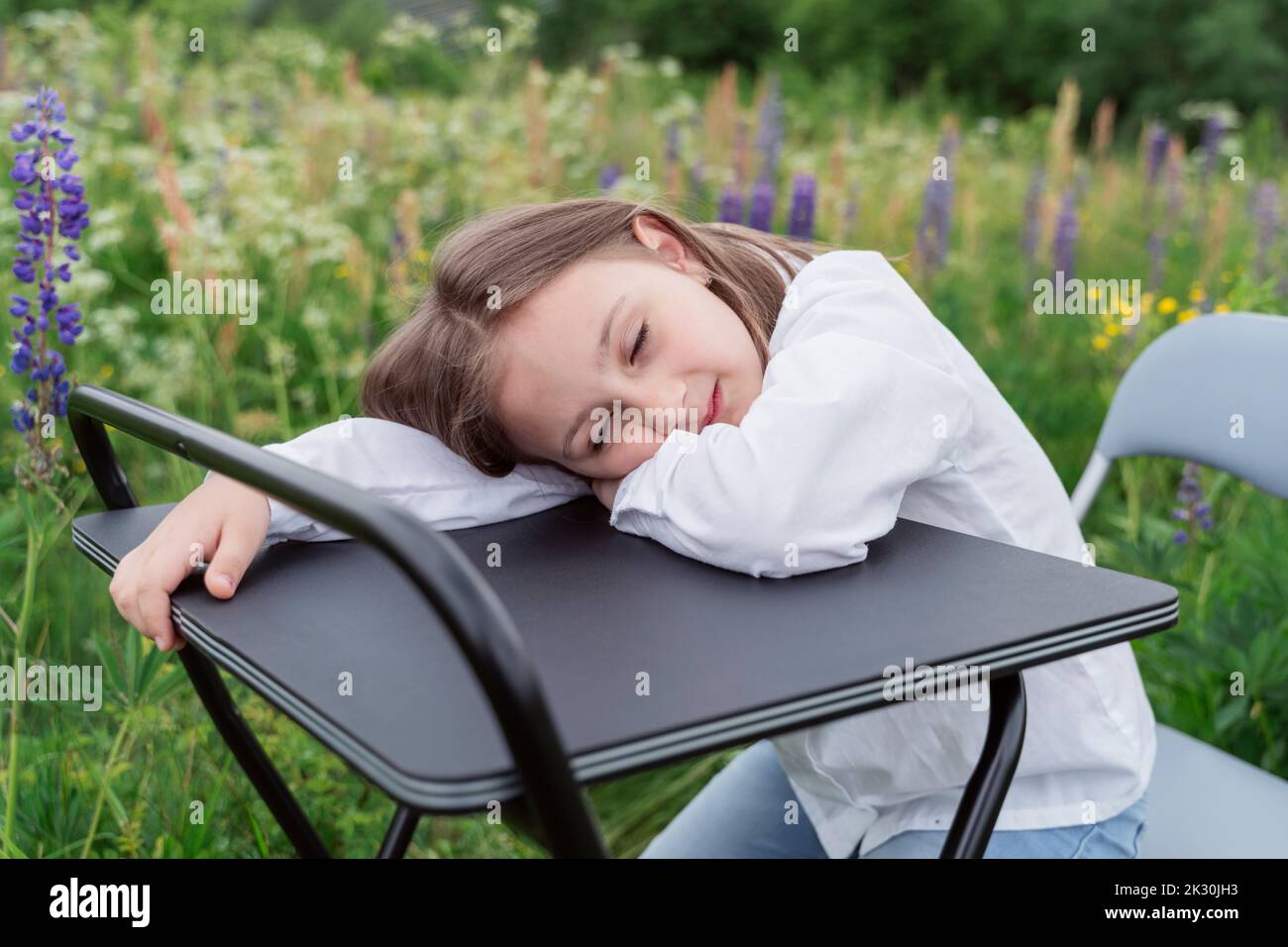 Une fille dormant sur un bureau dans un pré Banque D'Images