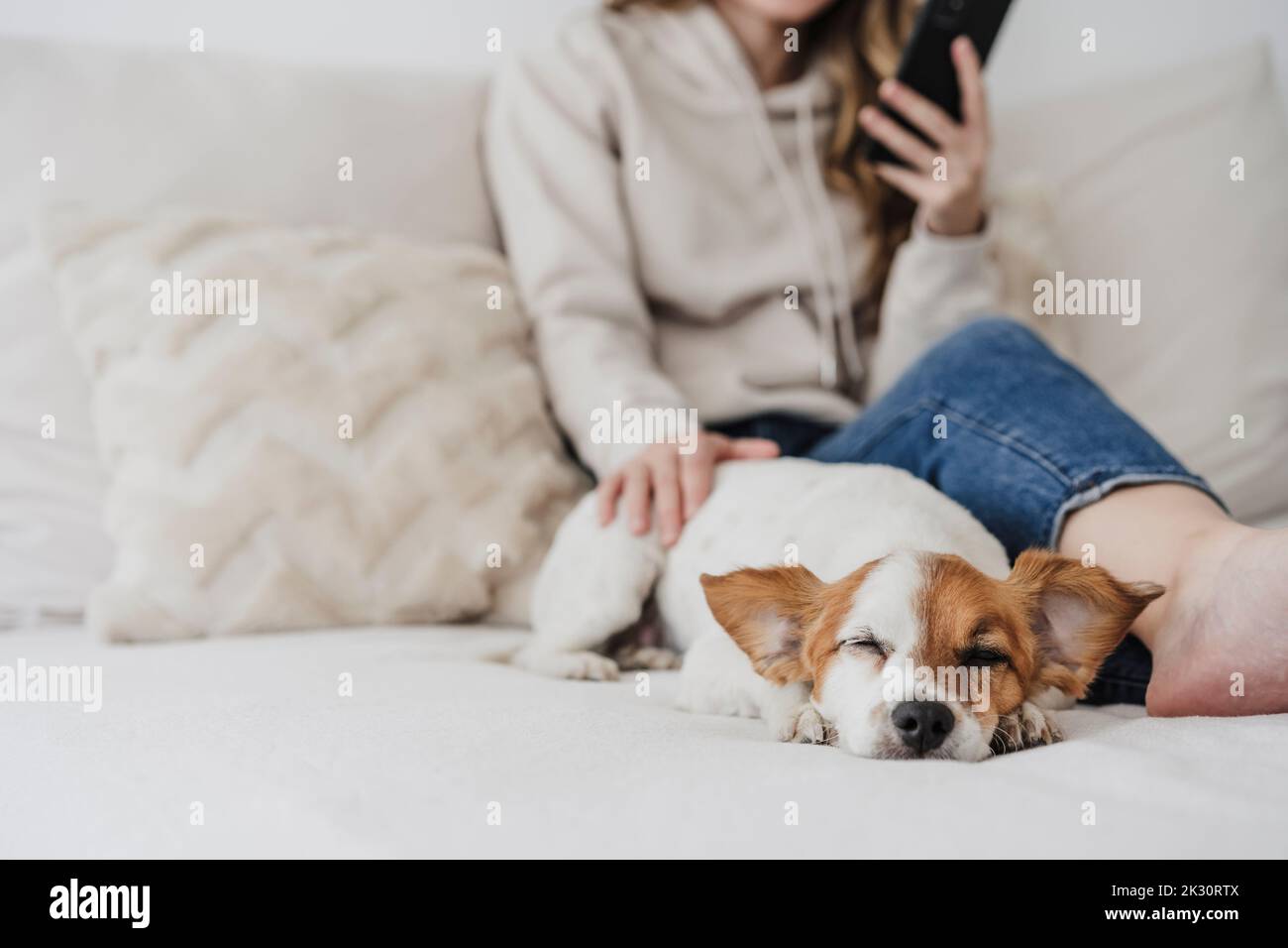 Femme chien de chasse en utilisant le téléphone assis sur le lit à la maison Banque D'Images