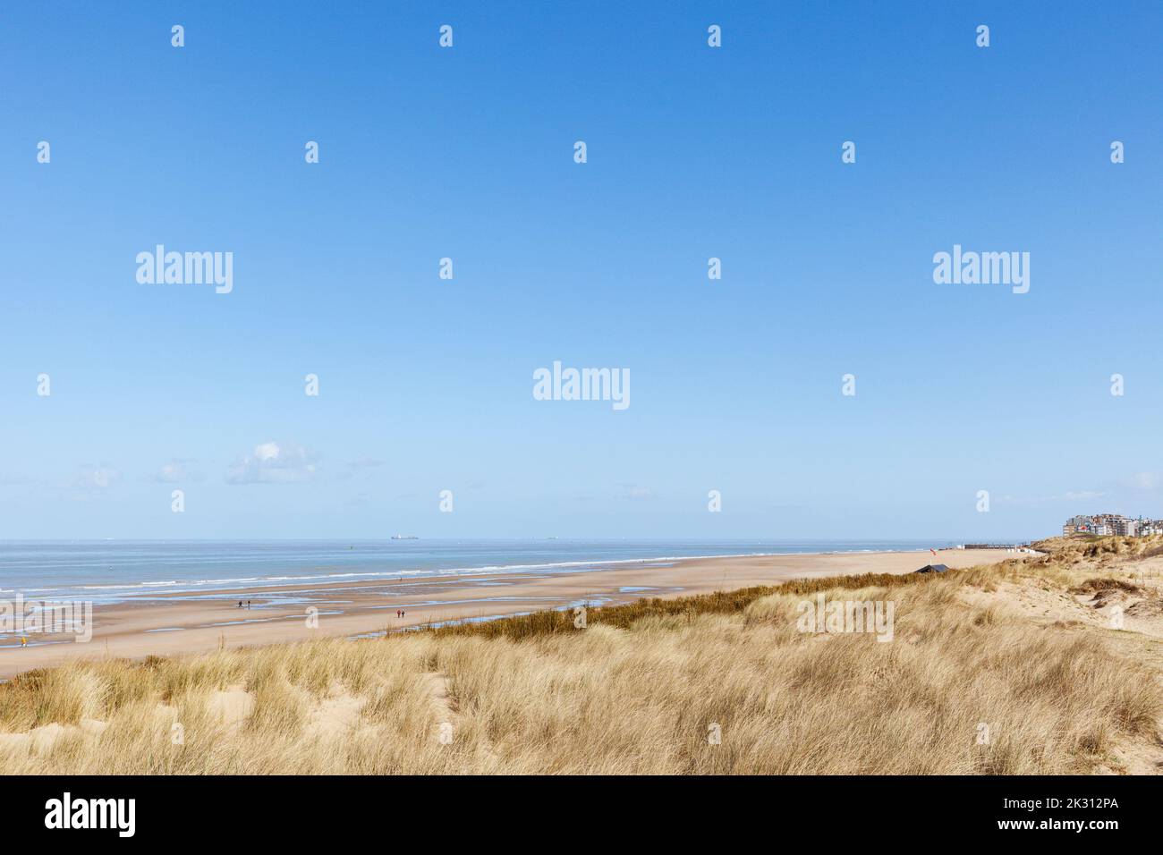 Belgique, Flandre Occidentale, de Haan, ciel clair sur les dunes herbeuses Banque D'Images