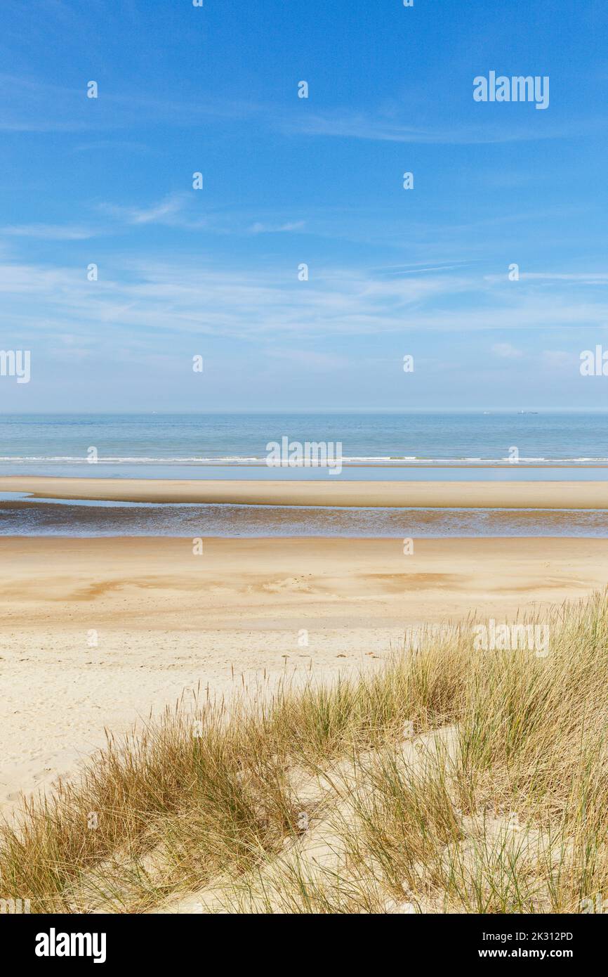 Belgique, Flandre Occidentale, de Haan, Plage de sable avec ligne d'horizon claire au-dessus de la mer du Nord en arrière-plan Banque D'Images