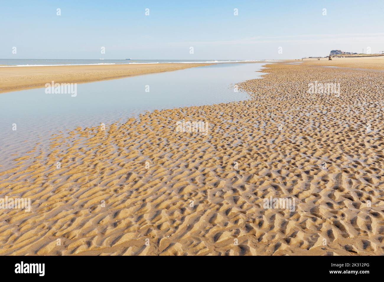Belgique, Flandre Occidentale, plage ondulée à marée basse Banque D'Images