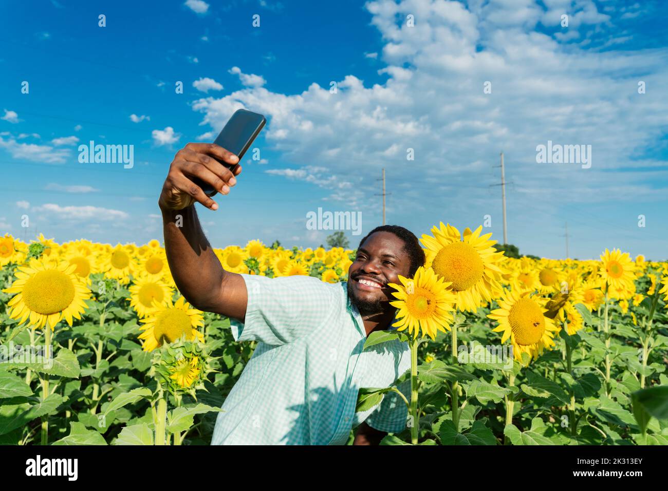 Homme heureux avec le tournesol prenant selfie par téléphone mobile dans le champ Banque D'Images