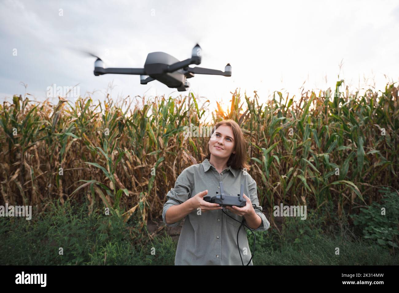 Femme avec télécommande utilisant drone dans le champ de maïs Banque D'Images