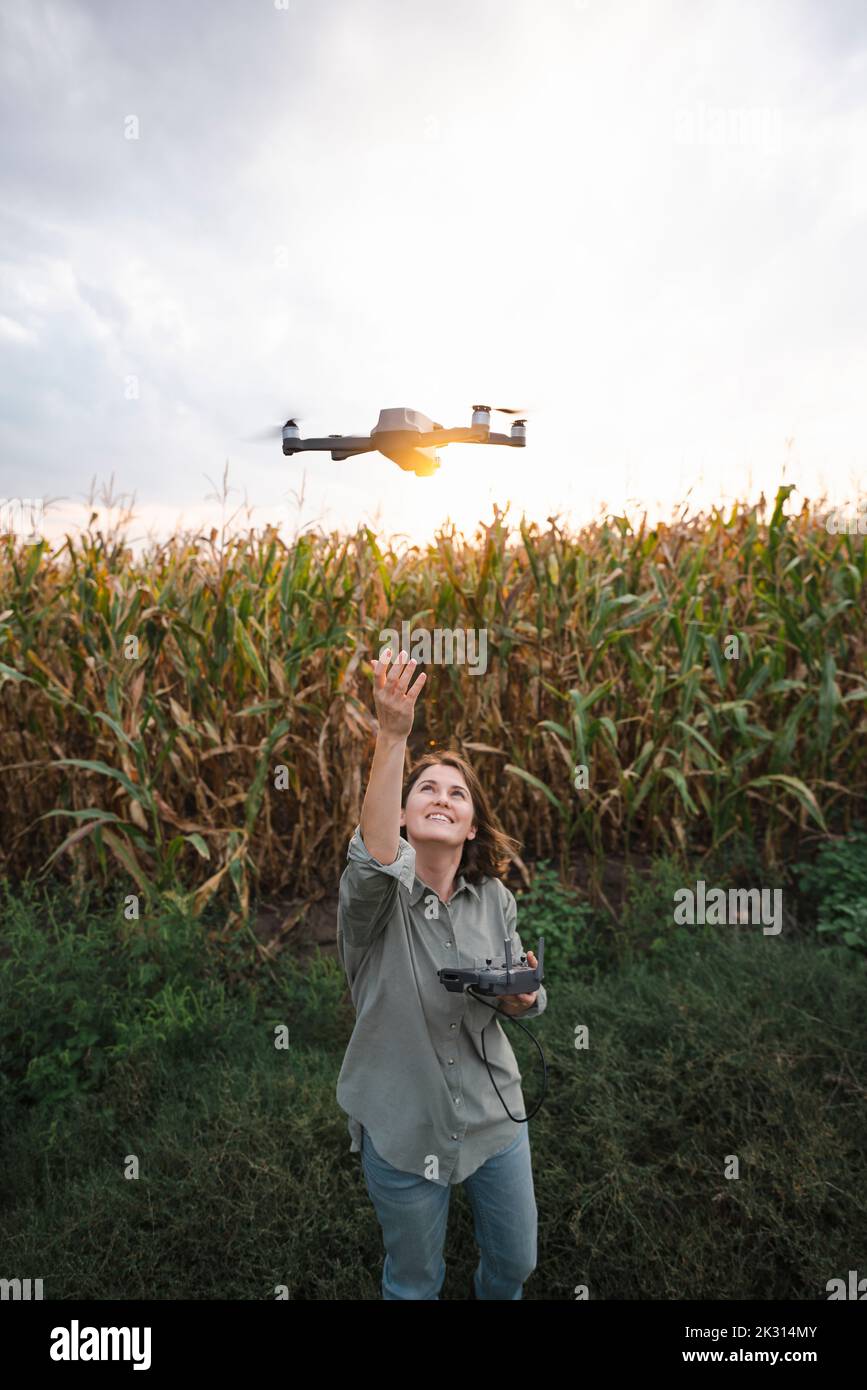 Femme avec télécommande utilisant drone dans le champ de maïs Banque D'Images