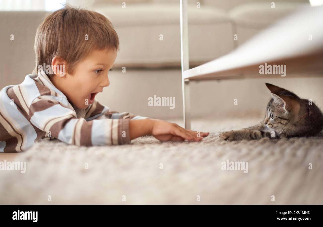 HES même littler que moi. Un petit garçon allongé sur le sol de sa chambre à coucher et jouant avec un chaton. Banque D'Images