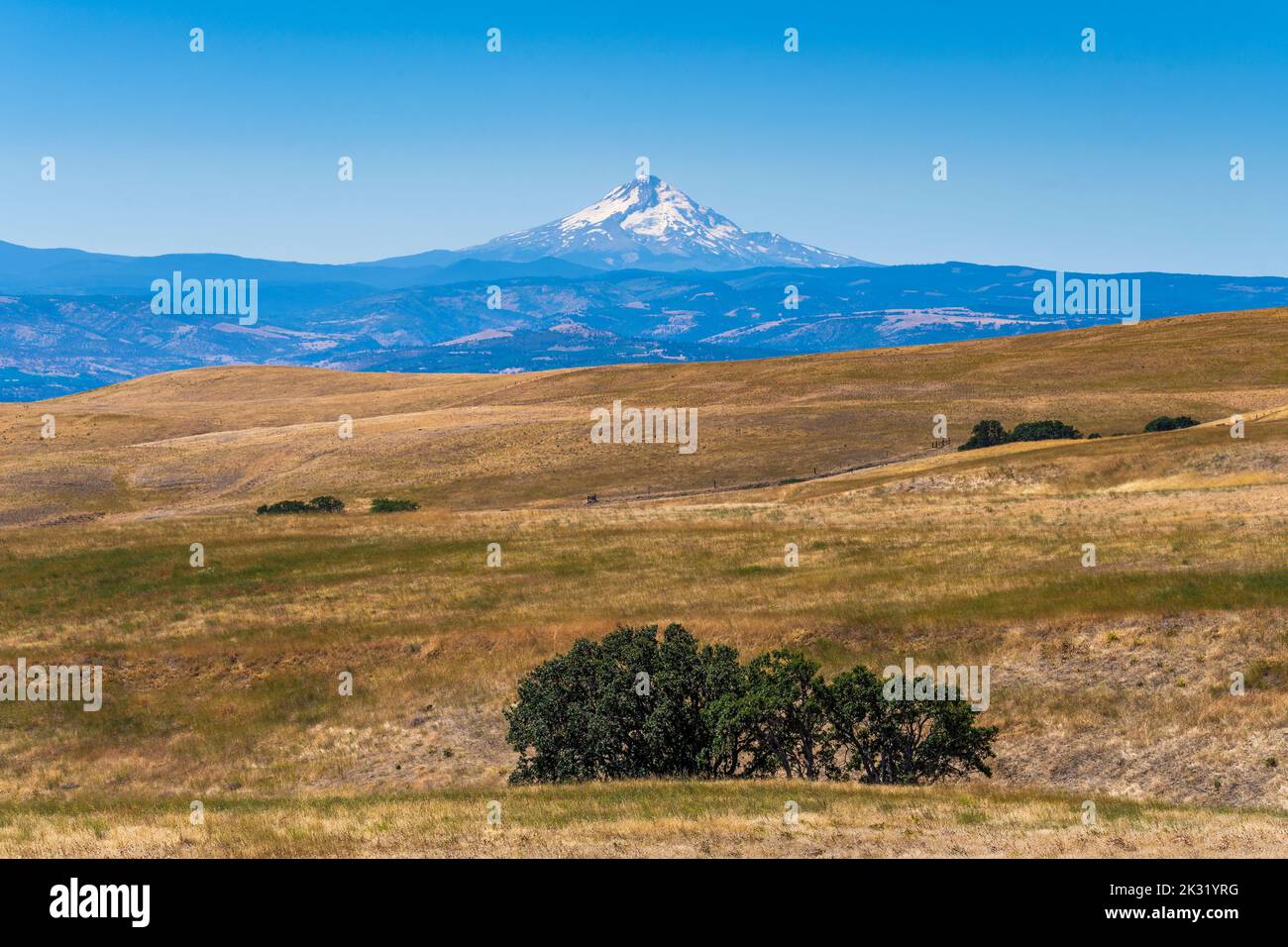Vue panoramique sur la campagne avec Mt. Hood, The Dalles, Oregon, États-Unis Banque D'Images