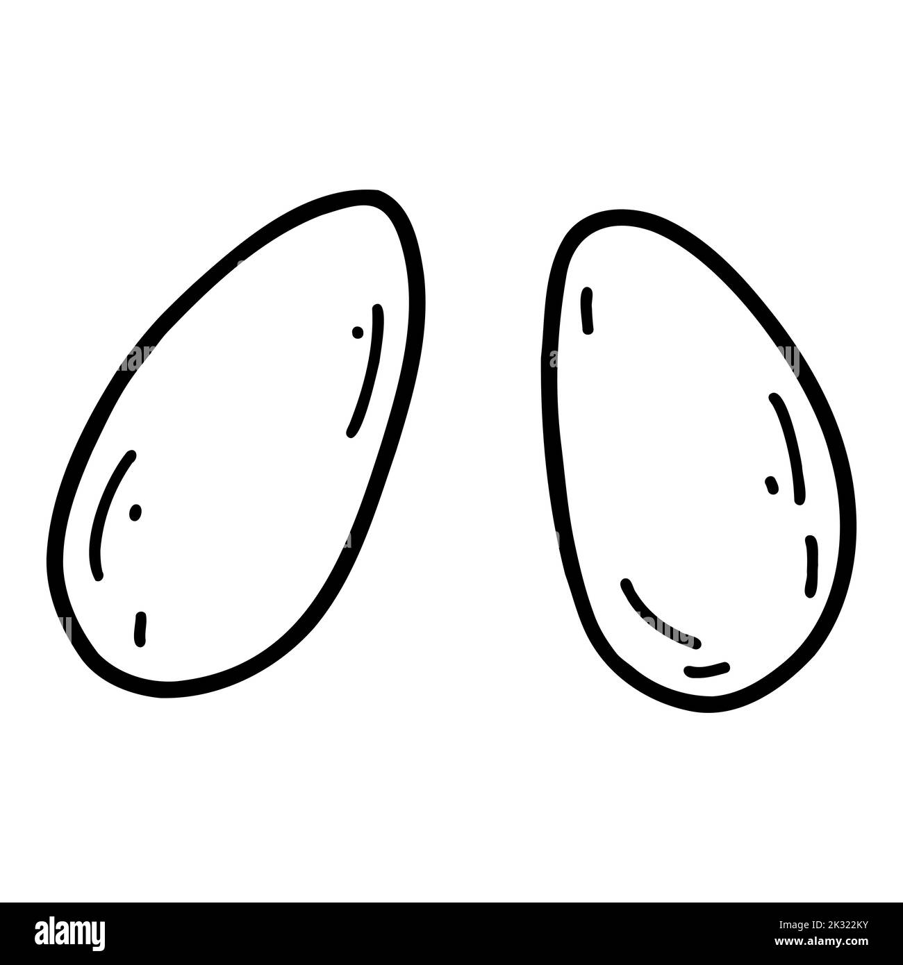 Œufs de poulet entier. Esquisse vectorielle vecteur Illustration des produits frais de l'agriculteur. Illustration de Vecteur