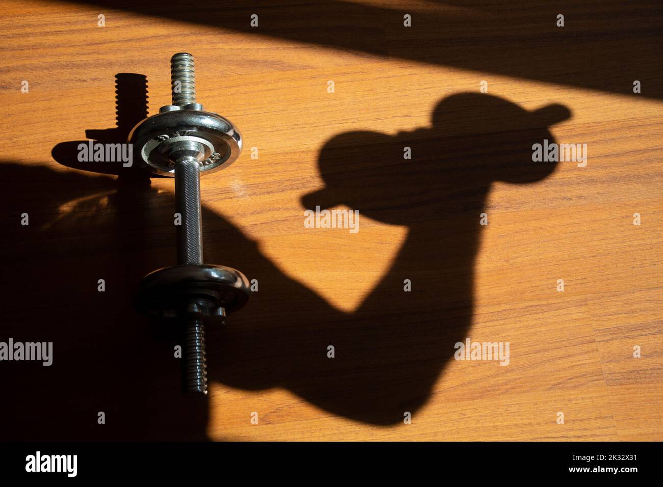 Silhouette d'un homme bras tenir levage effort de motivation de haltères sur le plancher isolé en bois fond, foyer sélectif Banque D'Images