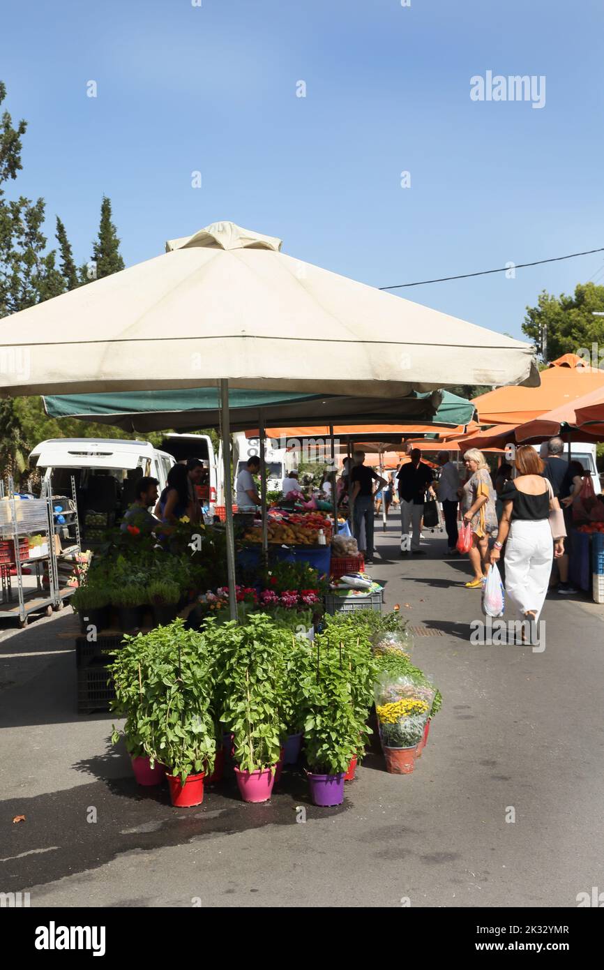 Personnes Shopping au samedi marché porte-affiche vendre le basilic et le chrysanthème Vouliagmeni Athènes Grèce Banque D'Images