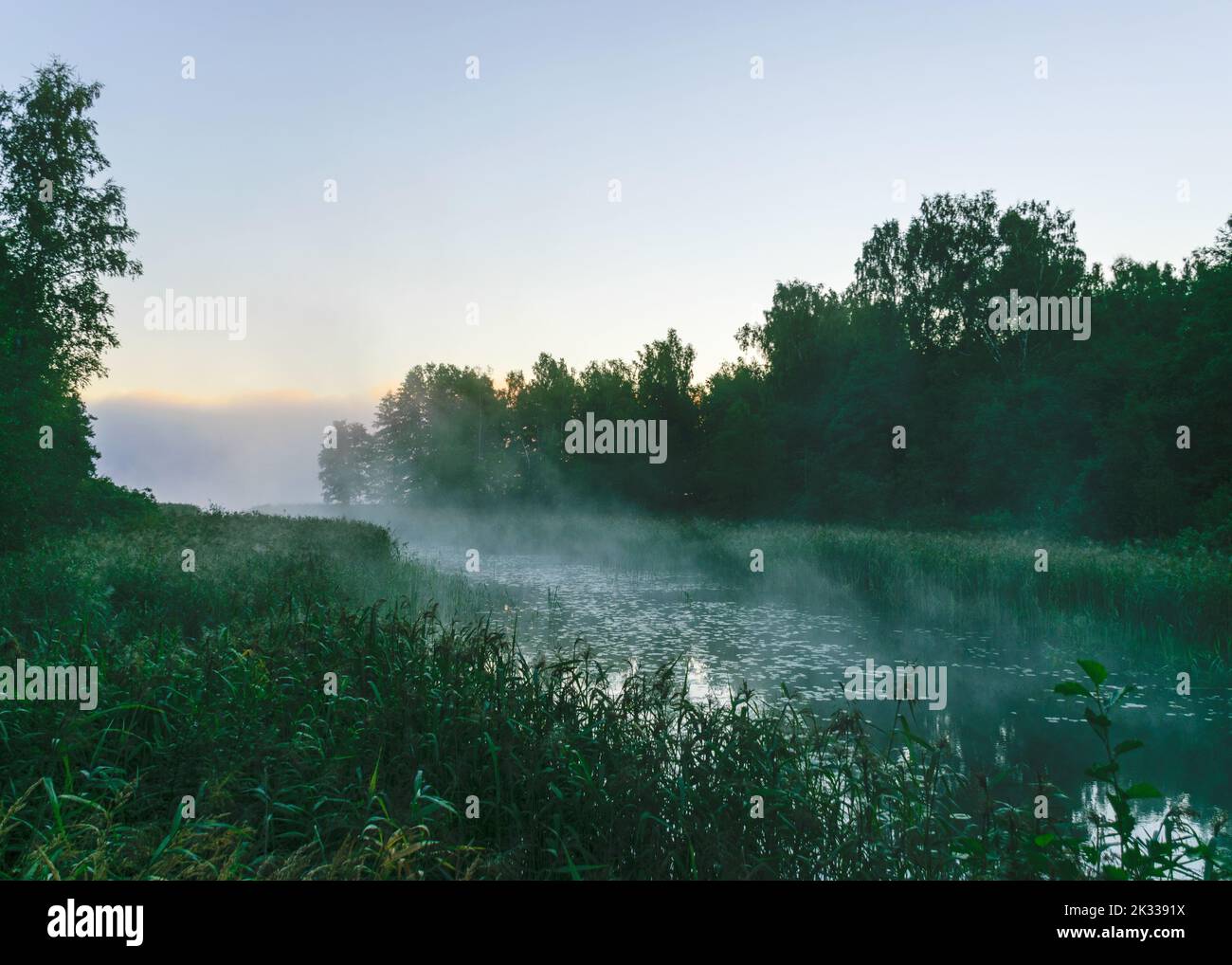 début de l'automne matin au bord du lac, brouillard sur la surface de l'eau, un moment avant le lever du soleil Banque D'Images