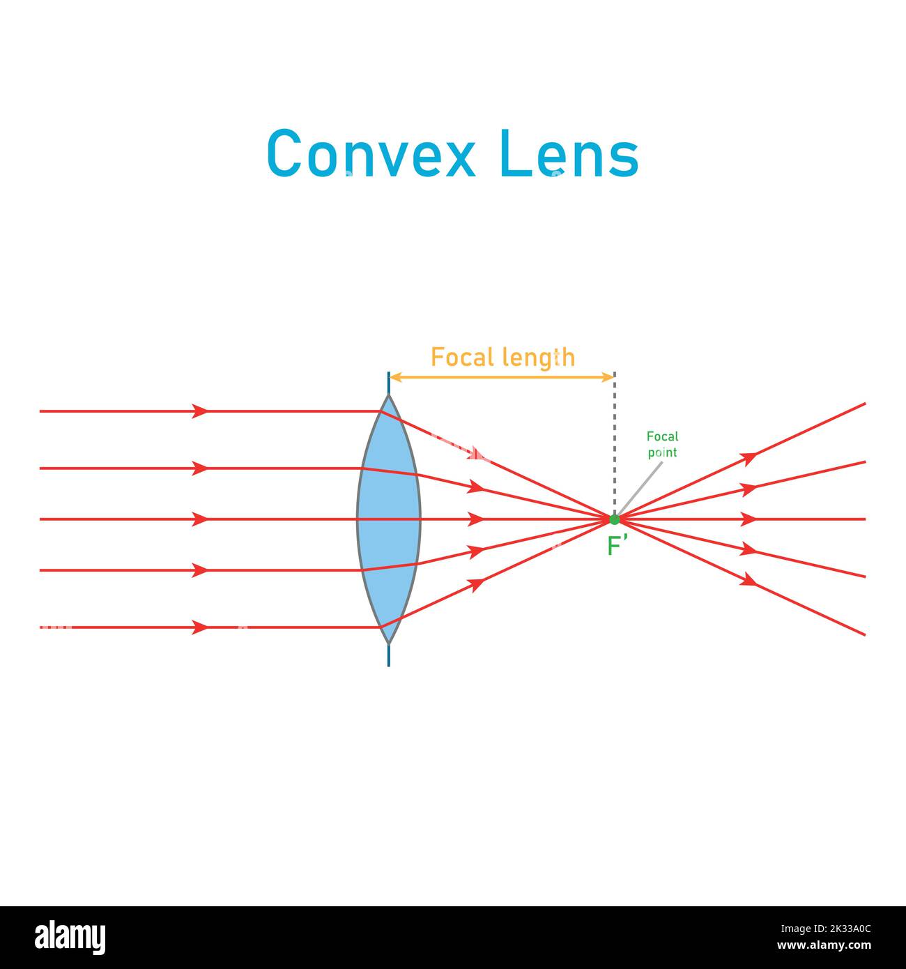 schéma de la lentille convexe en physique optique. Illustration de Vecteur