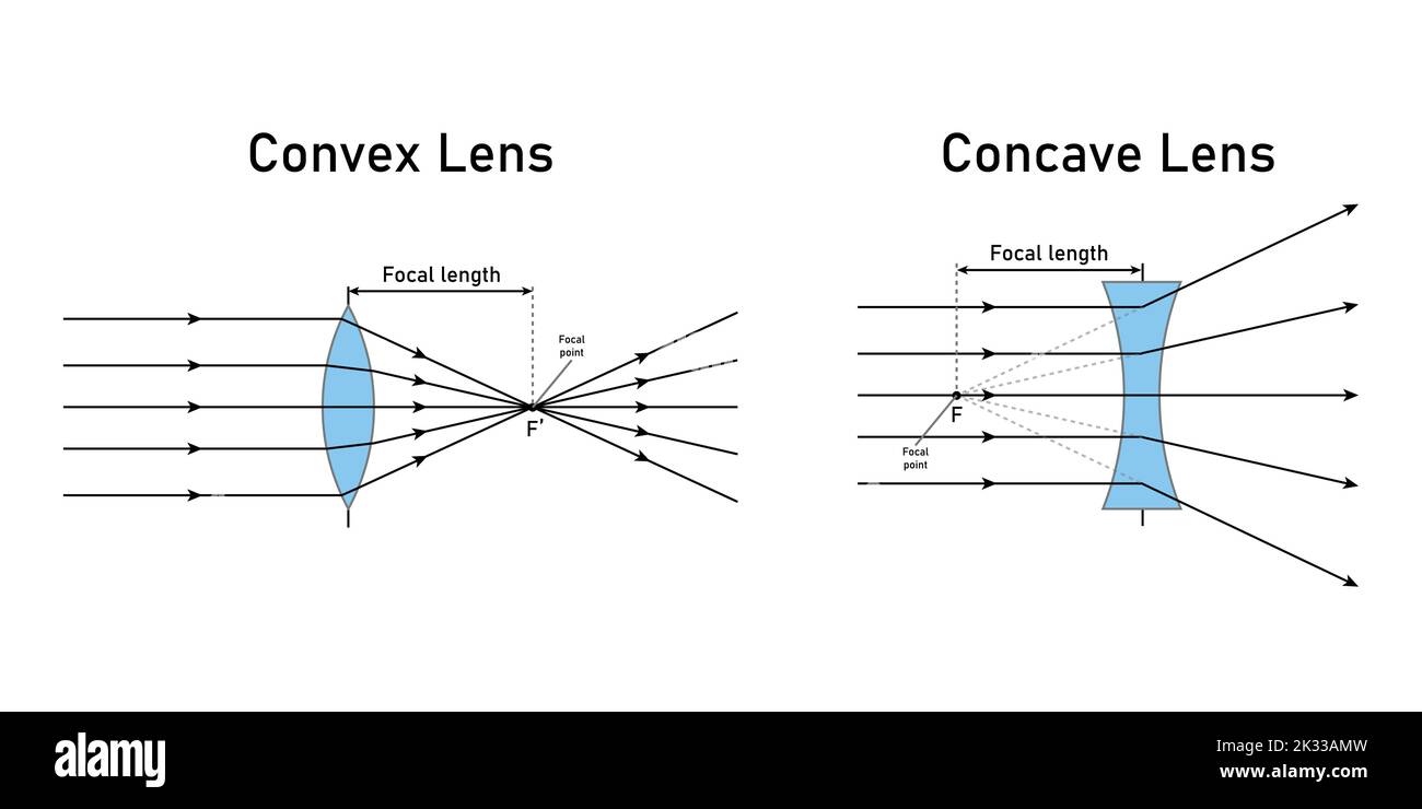 schéma de la lentille convexe et concave en physique optique. Illustration de Vecteur