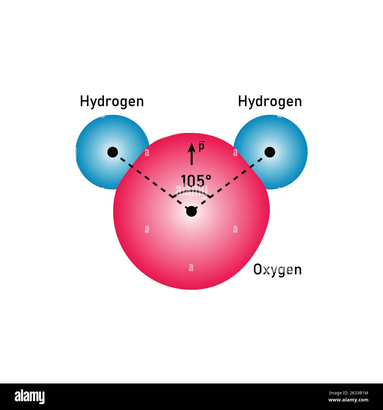 Les liaisons covalentes polaires des molécules d'eau (H2O) Illustration de Vecteur