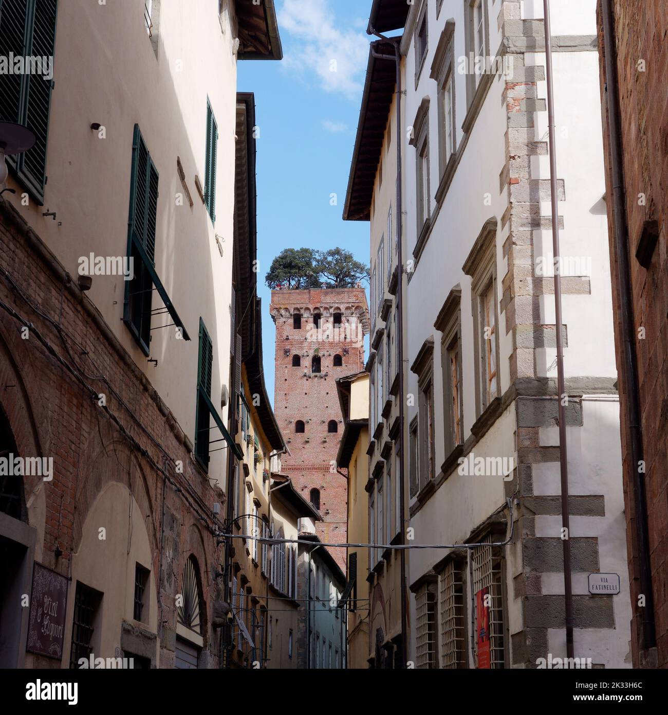 Rue étroite de Lucca en direction de la Tour Torre Guinigi avec des arbres (chênes verts) en pleine croissance. Toscane, Italie Banque D'Images