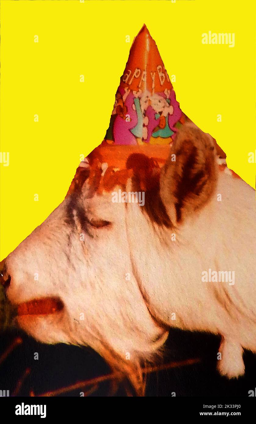 ANIMAUX DE FÊTE. Une photographie vintage montrant un animal de compagnie de chèvre portant un chapeau de fête d'anniversaire heureux. Banque D'Images